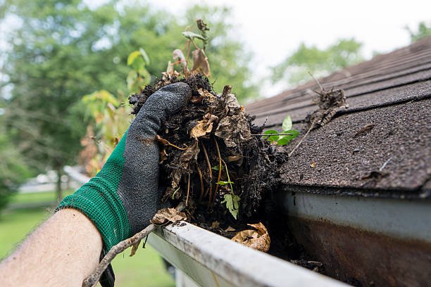 How Much Does Gutter Cleaning Cost in the UK? 2026 Price Guide