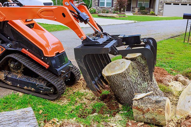 How Much Does Tree Removal Cost in 2026? UK Price Guide