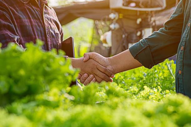 How to Get More Gardening Customers in the UK