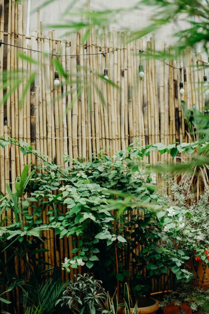 Garden Privacy Ideas: 15 Stylish Ways to Make Your Garden More Private