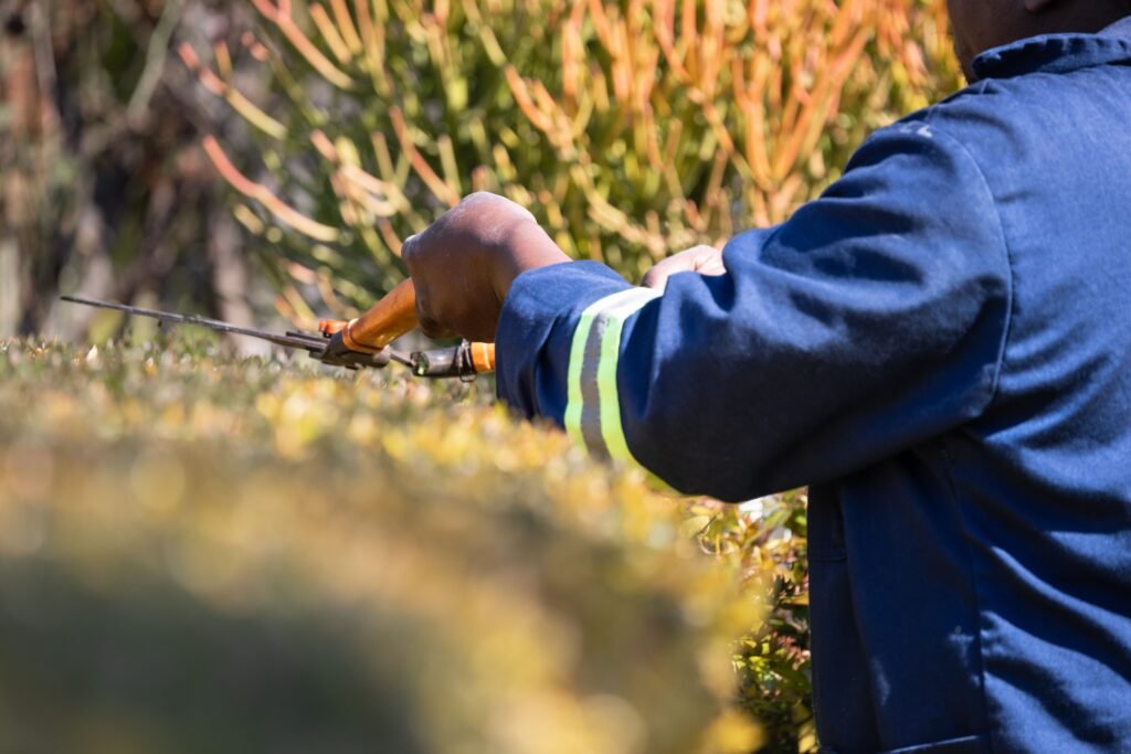 How Much Does a Gardener Cost Per Hour in the UK? 2026 Price Guide